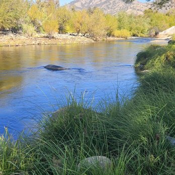 Sequoia Rv Ranch - Campgrounds Near Me - Three Rivers, California Sequoia Rv Ranch - Campgrounds Near Me - Three Rivers, California