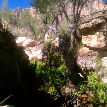 First Creek Trail - Hiking Near Me - Las Vegas, Nevada