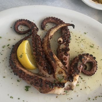Hellas Restaurant - Broiled Octopus - Bakeries Near Me - Tarpon Springs, Florida Hellas Restaurant - Broiled Octopus - Bakeries Near Me - Tarpon Springs, Florida