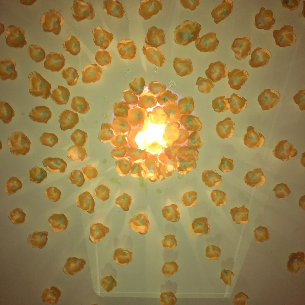 Bellissima Day Spa - Day Spas Near Me - Berkeley, California Bellissima Day Spa - Day Spas Near Me - Berkeley, California