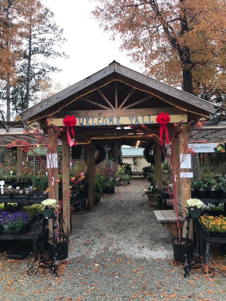 CAMPBELL ROAD NURSERY Updated October 2024 54 Photos & 28 Reviews