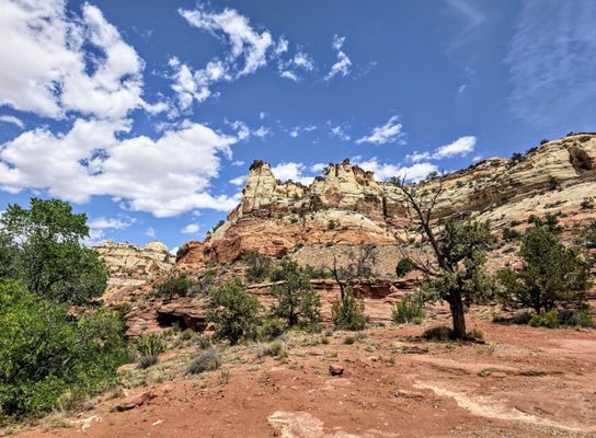 Lower Calf Creek Falls by null