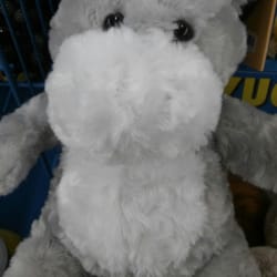 Tedi