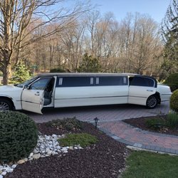 New Line Limousine
