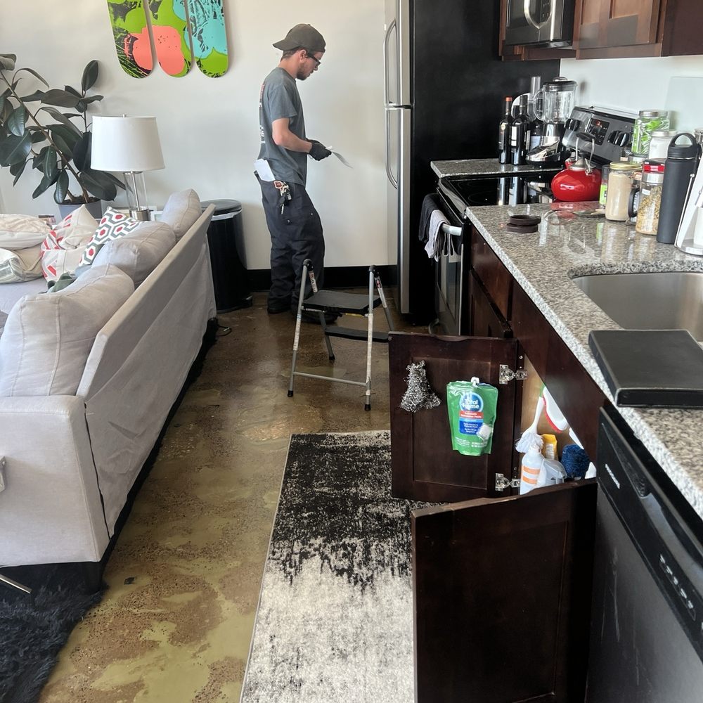 Evans Pest Control - Ryan from Evan's Pest Control in action - Pest Control Near Me - Philadelphia, Pennsylvania Evans Pest Control - Ryan from Evan's Pest Control in action - Pest Control Near Me - Philadelphia, Pennsylvania