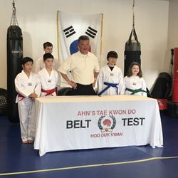 Ahn's Tae Kwon Do Institute