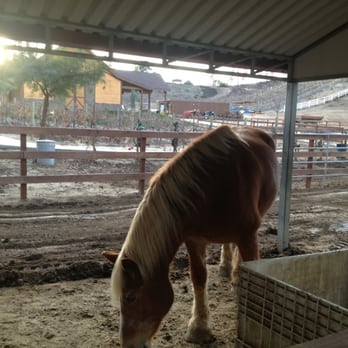 Longshadow Ranch Vineyard And Winery - Horses!!! - Wineries Near Me - Temecula, California Longshadow Ranch Vineyard And Winery - Horses!!! - Wineries Near Me - Temecula, California