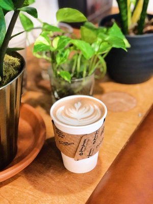 Glasser Coffee Co. by null