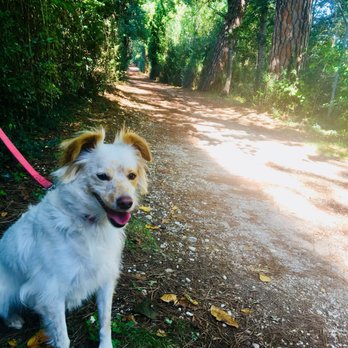 Abbadia di Fiastra - Good Dog Walk - Parks Near Me - Urbisaglia, MC
