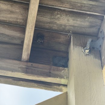 Sloane Realty Vacations - Wasps nest - Vacation Rental Agents Near Me - Ocean Isle Beach, North Carolina Sloane Realty Vacations - Wasps nest - Vacation Rental Agents Near Me - Ocean Isle Beach, North Carolina