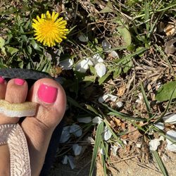 Halo Beauty And Nail Bar - Beautifully finished pedicure