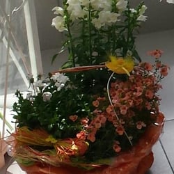 Blumenhaus Hugo