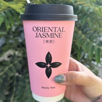 Molly Tea - Bubble Tea Near Me - Sunnyvale, California Molly Tea - Bubble Tea Near Me - Sunnyvale, California
