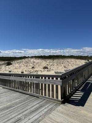 Cape Henlopen State Park by null