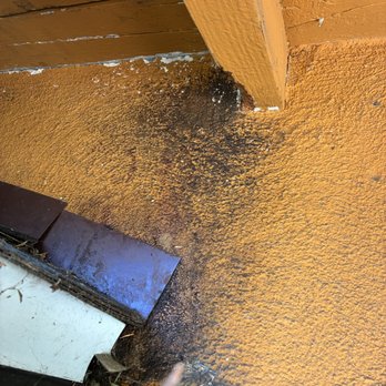 APX Pest Solutions - Not all rodent evidence is droppings. These grease marks show where rodents have repeatedly traveled. - Pest Control Near Me APX Pest Solutions - Not all rodent evidence is droppings. These grease marks show where rodents have repeatedly traveled. - Pest Control Near Me