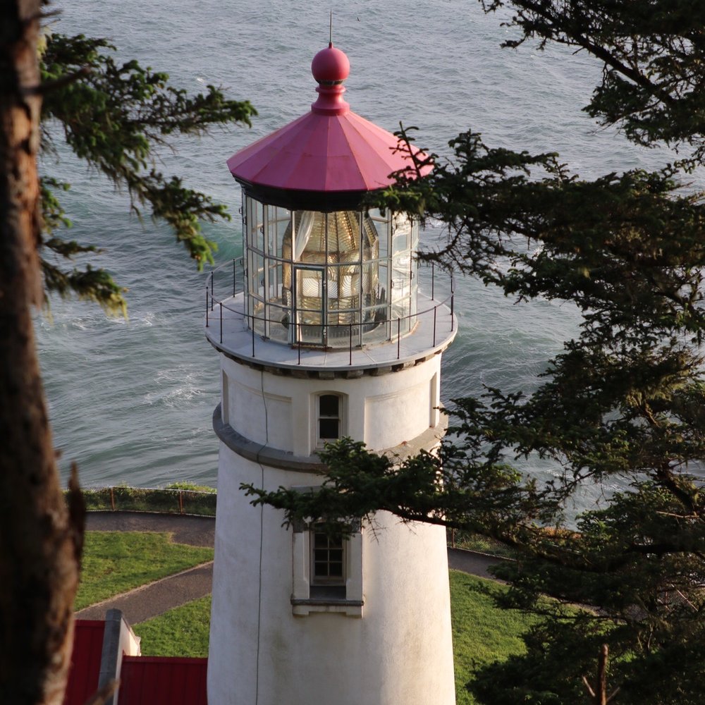 Heceta Head Lighthouse - From the trail above the light. - Landmarks & Historical Buildings Near Me - Florence, Oregon Heceta Head Lighthouse - From the trail above the light. - Landmarks & Historical Buildings Near Me - Florence, Oregon