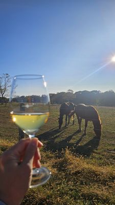 McCall Wines by null