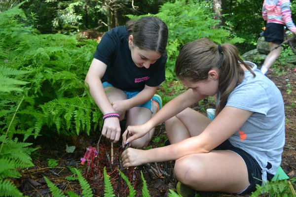 Camp Howe CAMP HOWE - Updated June 2026 - 15 Photos - D A R Forest Rd, Goshen ...