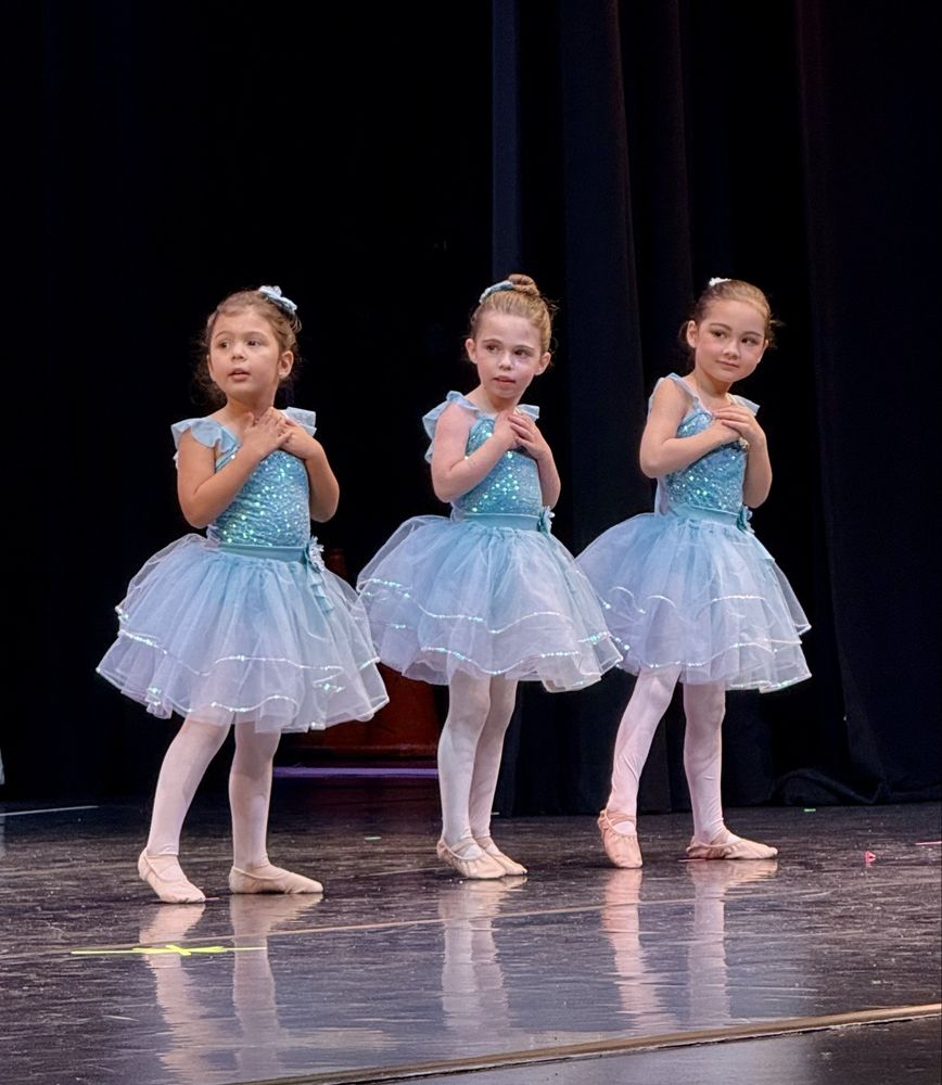 Michelles Dance Academy Logo