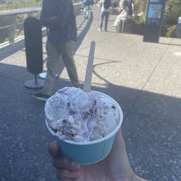 Blueberry Cheesecake, Vegan Coconut Chunk
