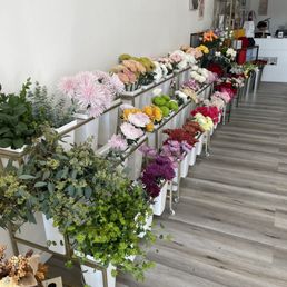 Very pretty selection of flowers!