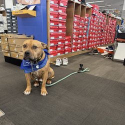 DSW Designer Shoe Warehouse
