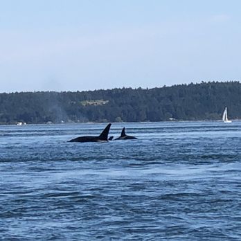 Lime Kiln Point State Park - Parks Near Me - Friday Harbor, Washington