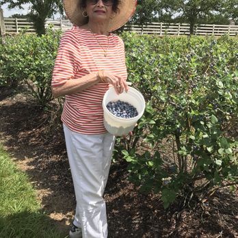 Beck Brothers Citrus - Grandma's goods - Pick Your Own Farms Near Me - Windermere, Florida Beck Brothers Citrus - Grandma's goods - Pick Your Own Farms Near Me - Windermere, Florida