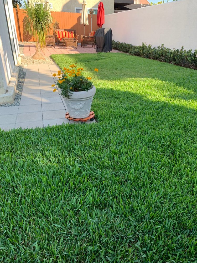 BURNS LANDSCAPING Updated June 2024 27191 Calle Delgado, San Juan