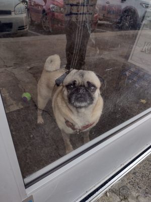 Woodland Avenue Beverage