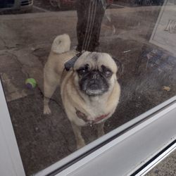 Woodland Avenue Beverage - Woodland Ave Beverage Greeter