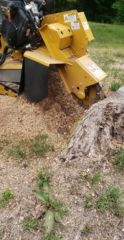 GRIND N GO STUMP REMOVAL Updated June 2024 East Stroudsburg