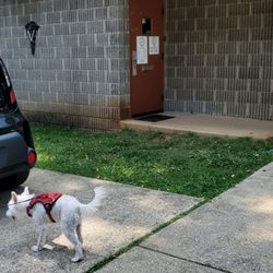 Southwest Veterinary Clinic