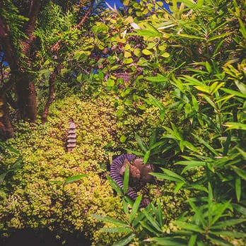Way To Grow - Fairy Tales aren't just for kids.
Atomizer Fairy Garden! - Hydroponics Near Me - Denver, Colorado Way To Grow - Fairy Tales aren't just for kids.
Atomizer Fairy Garden! - Hydroponics Near Me - Denver, Colorado
