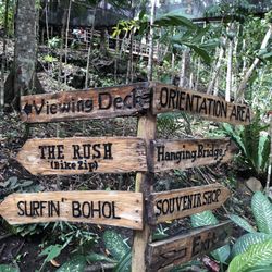 Chap Chocolate Hill Adventure Park