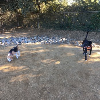 Cipriani Dog Park - Dog Parks Near Me - Belmont, California Cipriani Dog Park - Dog Parks Near Me - Belmont, California