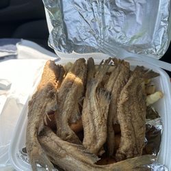 Love's Fish Box - Cat Fish