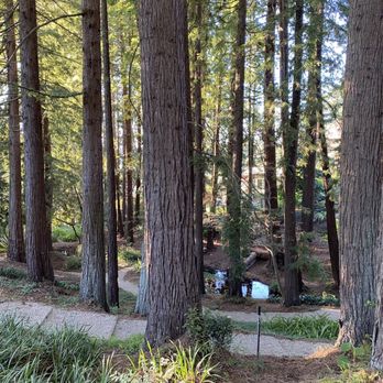 Blake Garden - Parks Near Me - Kensington, California
