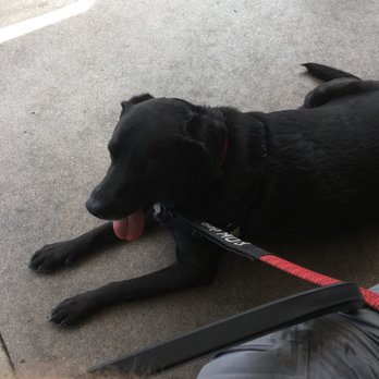 Lone Spur Cafe - Dog friendly on the sidewalk. - Cafes Near Me - Prescott, Arizona