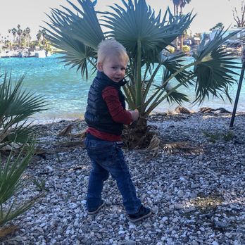 Crazy Horse Campgrounds - Campgrounds Near Me - Lake Havasu City, Arizona