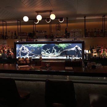 Remedy - Fish tank in the middle of the bar! Cool! - Cocktail Bars Near Me - Chicago, Illinois