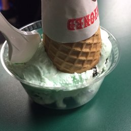 Mint Chocolate Chip Ice Cream