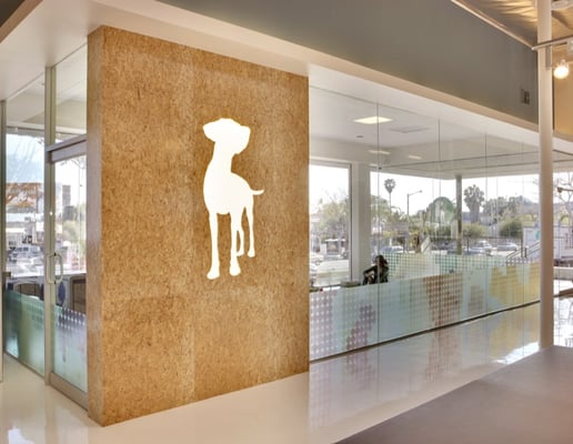 Amazing West Hollywood Dog Daycare Moment Digital Art Amazing West Hollywood Dog Daycare Moment Digital Art