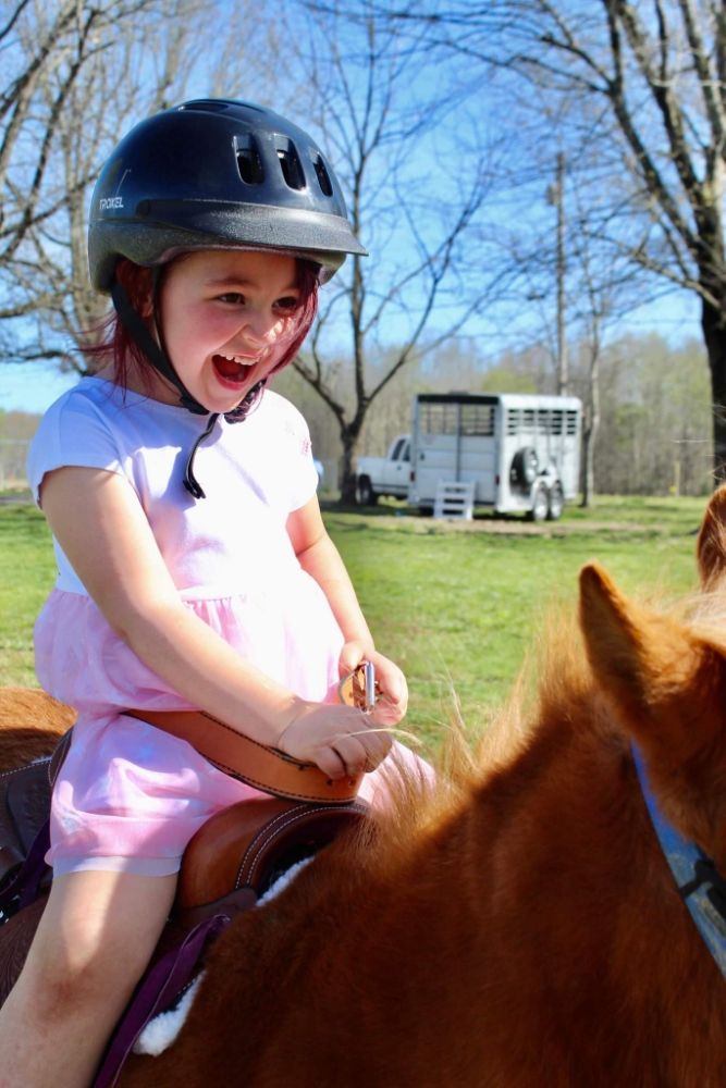 Pony Dreams Direct - equestrian in Summertown, TN