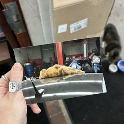 Superior Auto Body - Prior employee napping on the job!