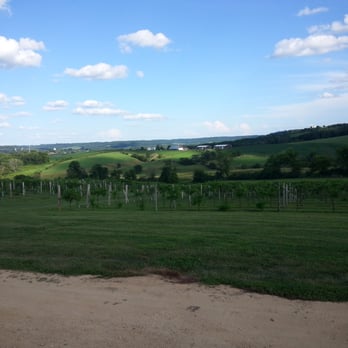 Fergedaboudit Vineyard & Winery - Wine Tasting Room Near Me - Hanover, Illinois