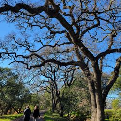 Skyline Wilderness Park