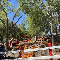 BellCreek Acres - Pumpkin Patch