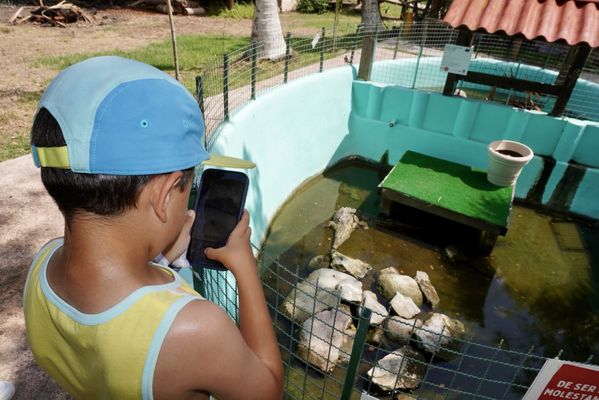 El Cora Crocodile Sanctuary by null