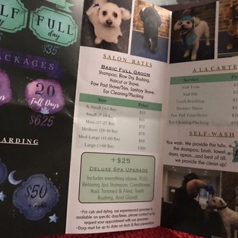Brooklyn Paw House - Pet Groomers Near Me - Brooklyn, New York Brooklyn Paw House - Pet Groomers Near Me - Brooklyn, New York